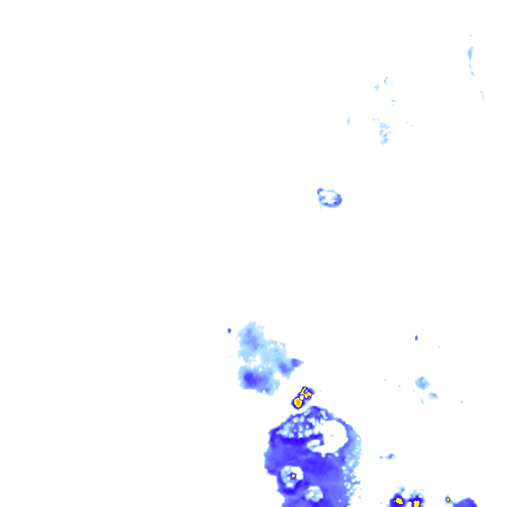 rainLayer