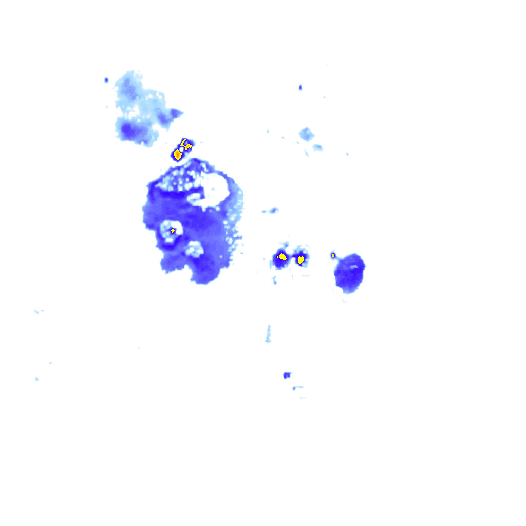 Image Layer