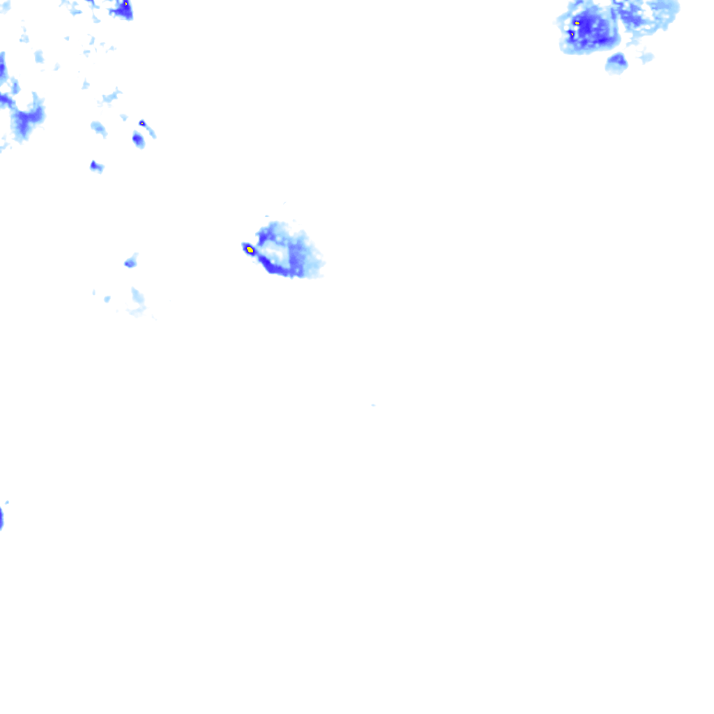 rainLayer
