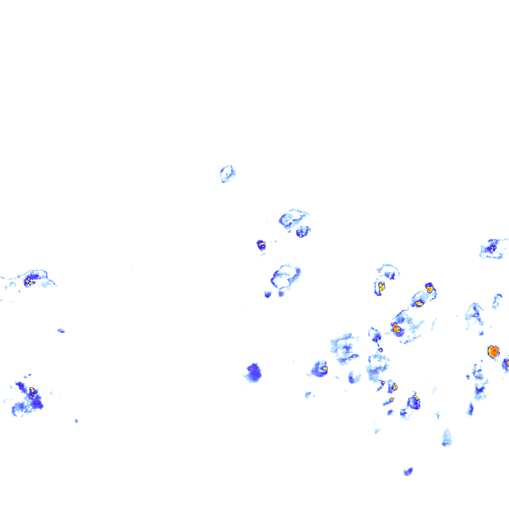 rainLayer