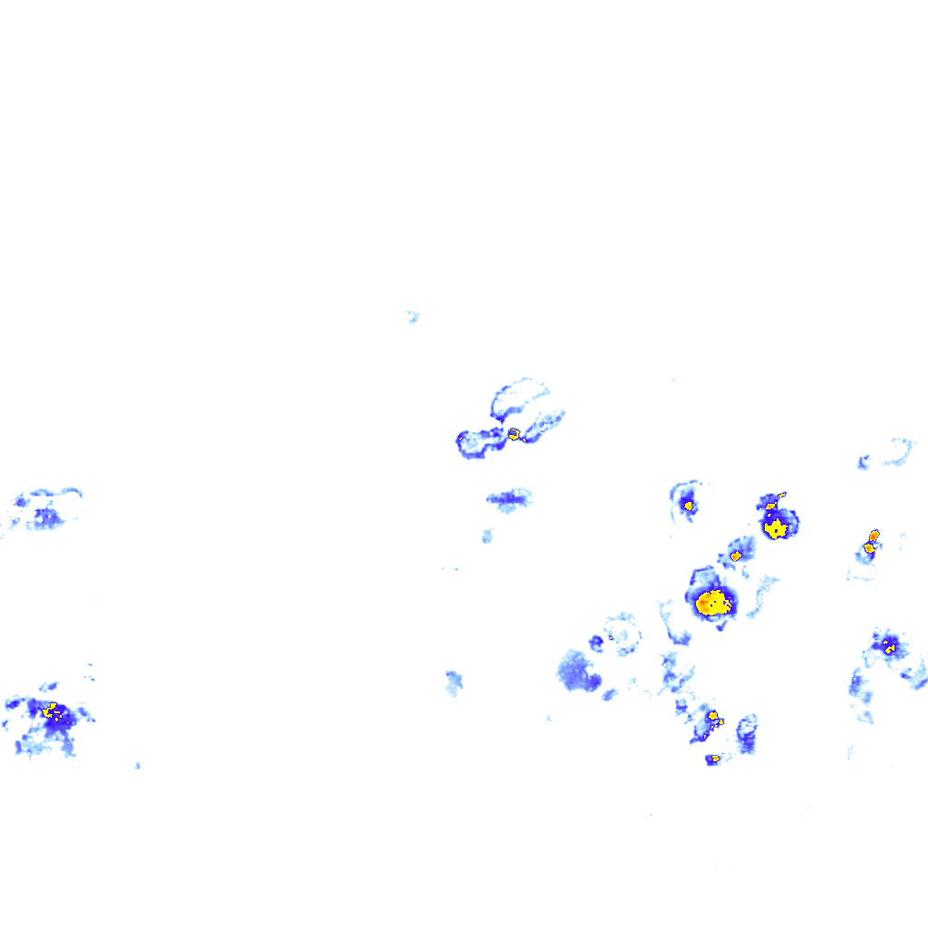 rainLayer
