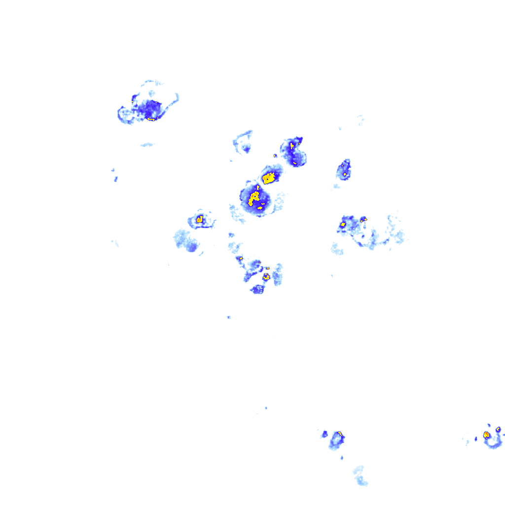 rainLayer