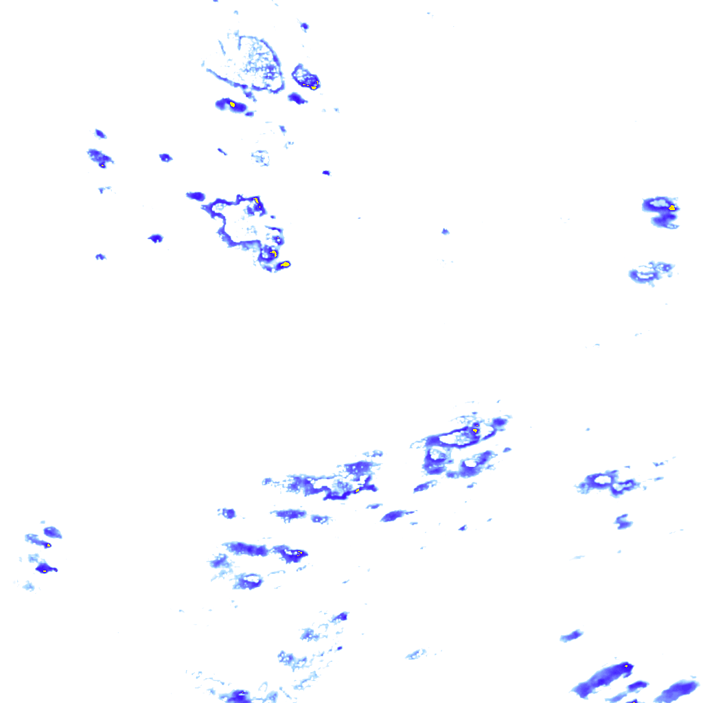 rainLayer
