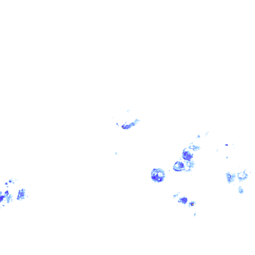rainLayer