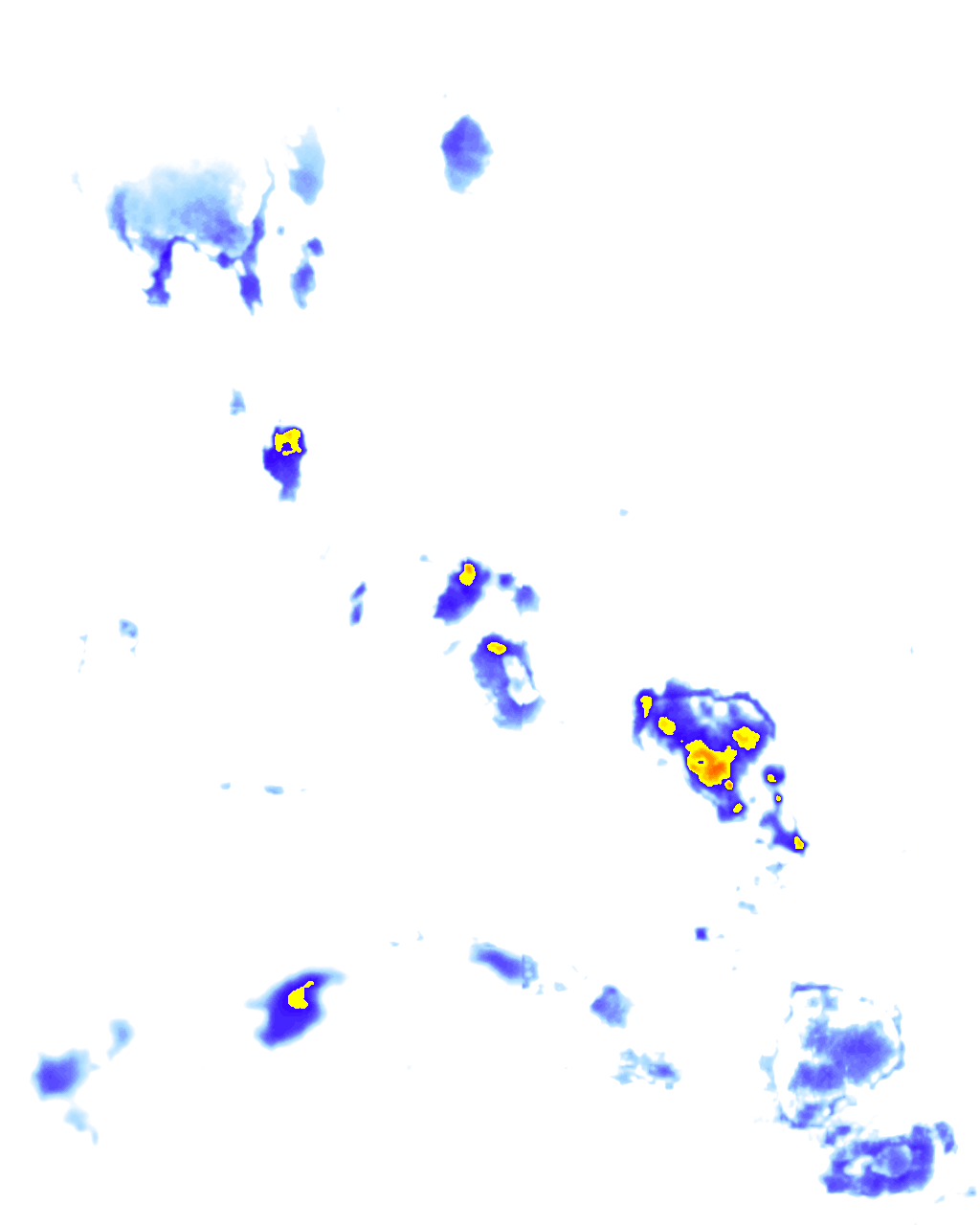 rainLayer