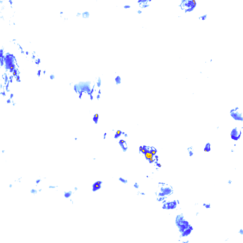 rainLayer