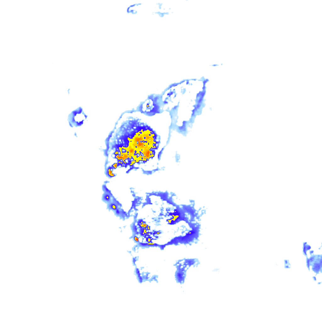 rainLayer