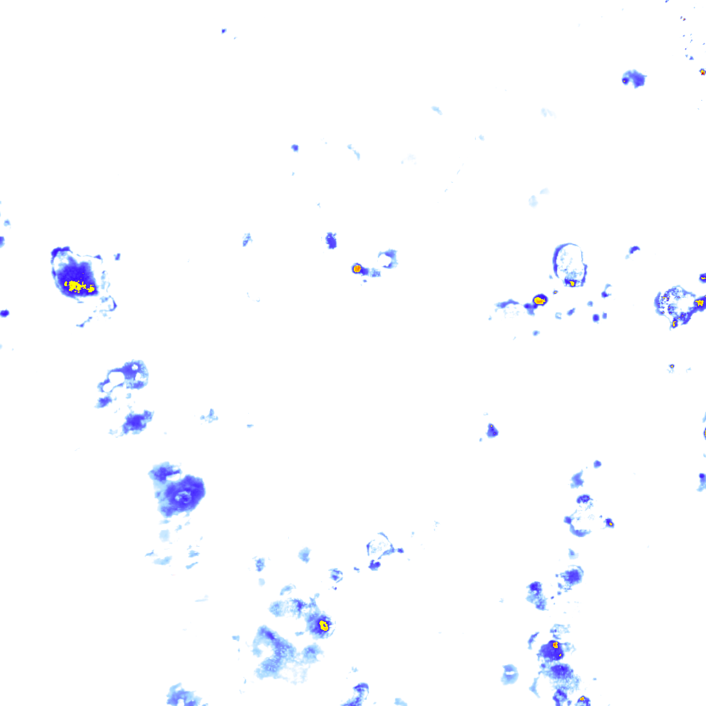 rainLayer