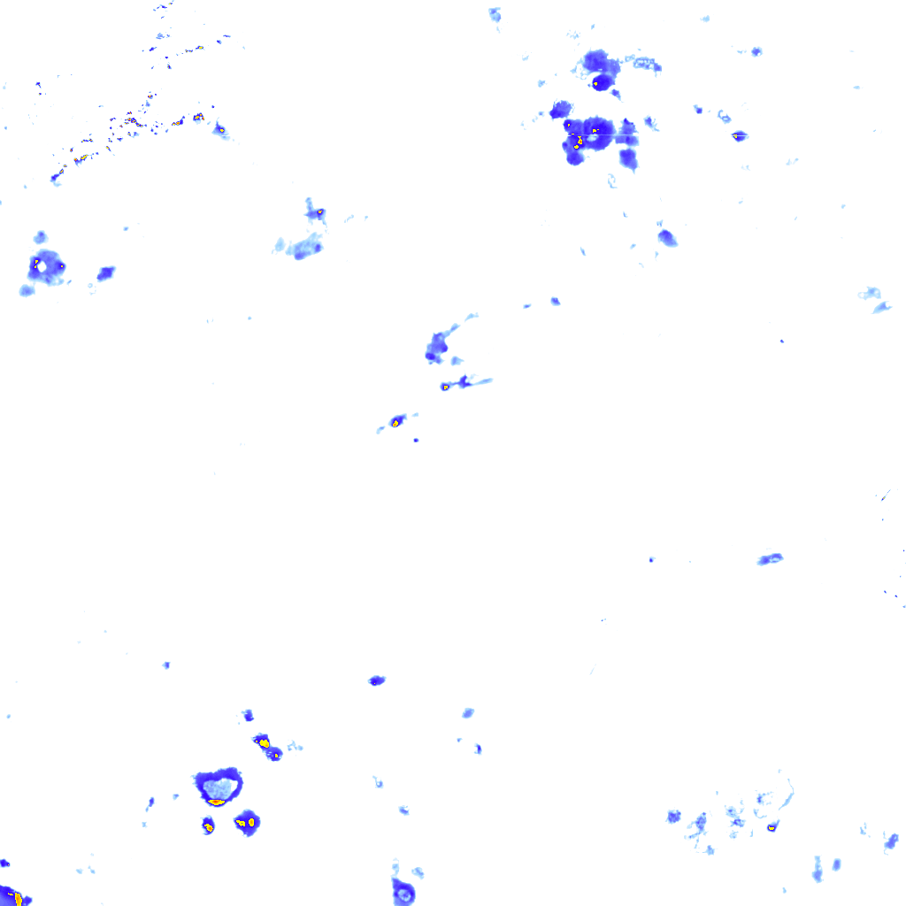 Image Layer