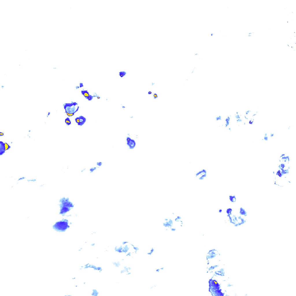 rainLayer