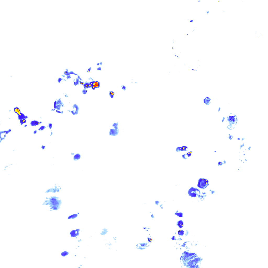 Image Layer