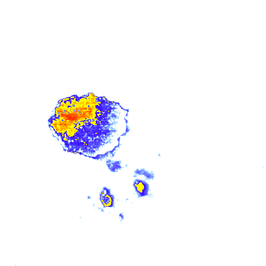 rainLayer
