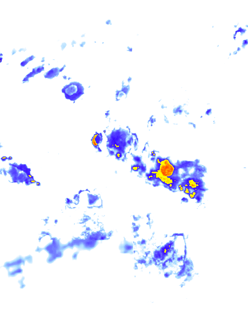 rainLayer