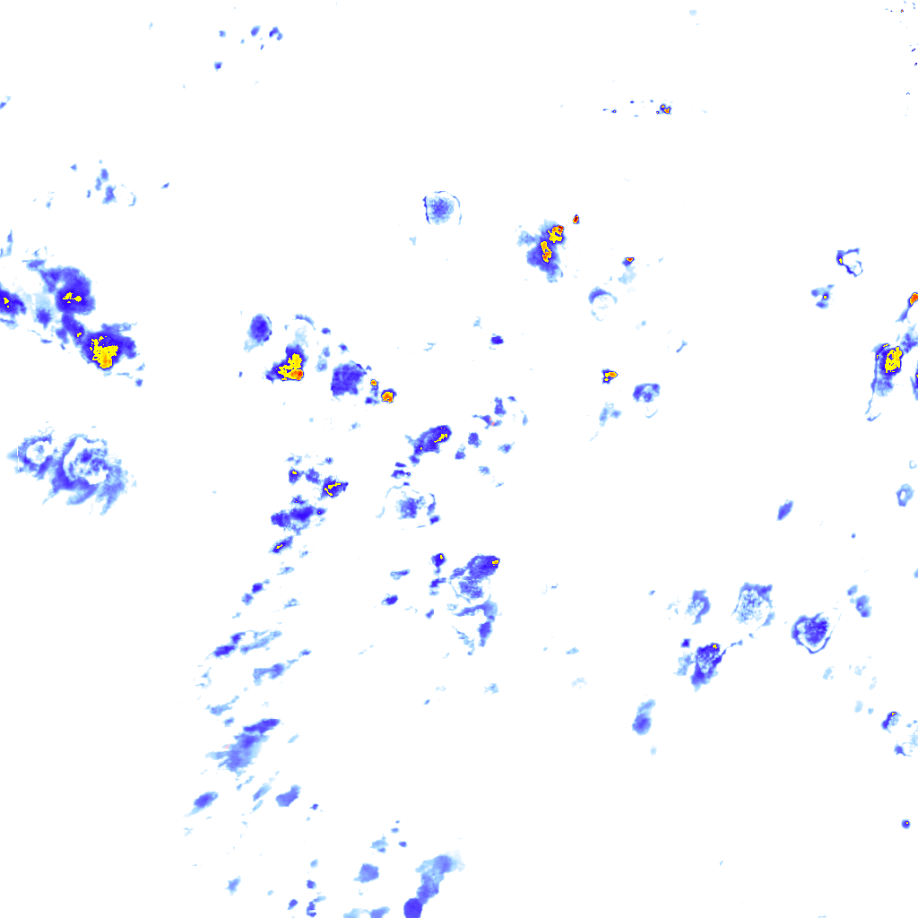 rainLayer