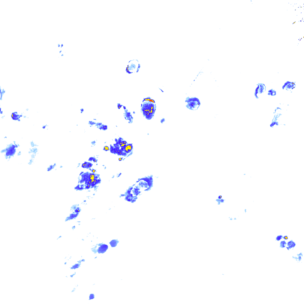 rainLayer