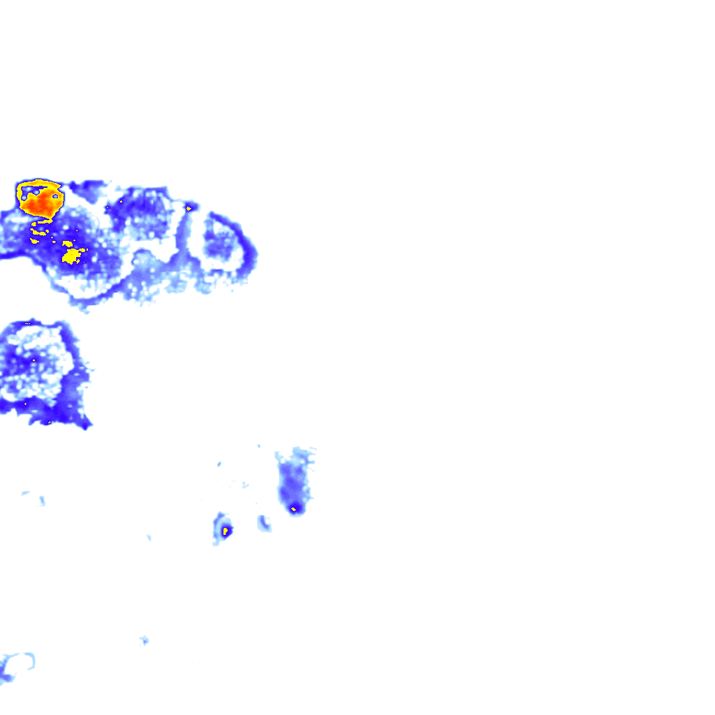 rainLayer