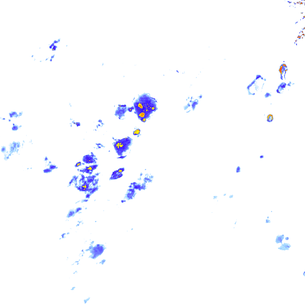 rainLayer