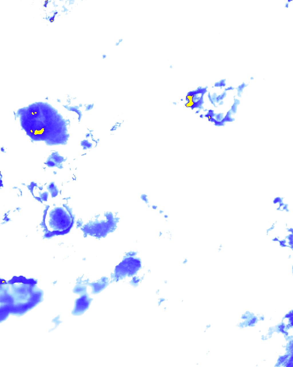 rainLayer