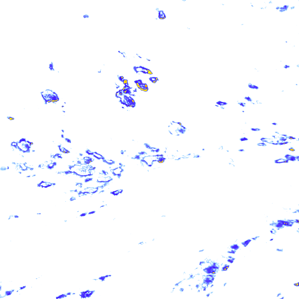 rainLayer