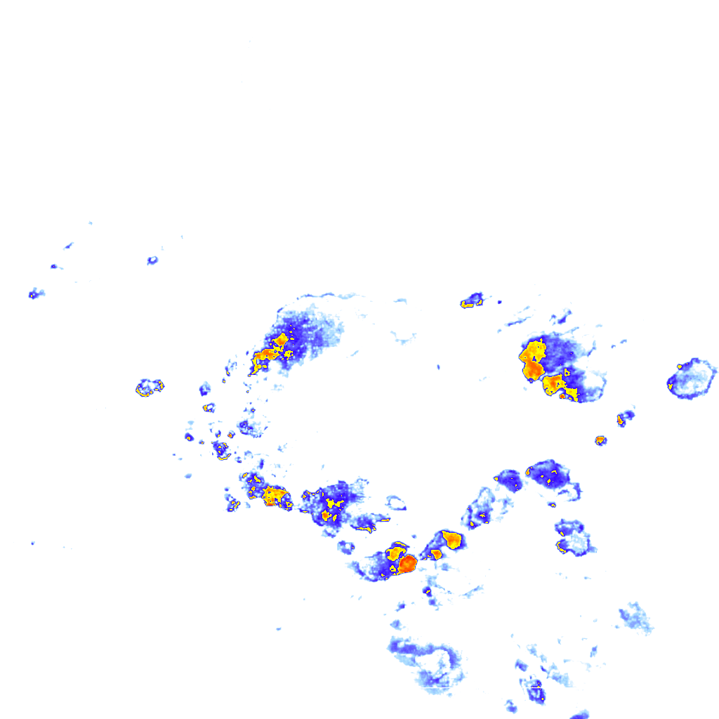 rainLayer