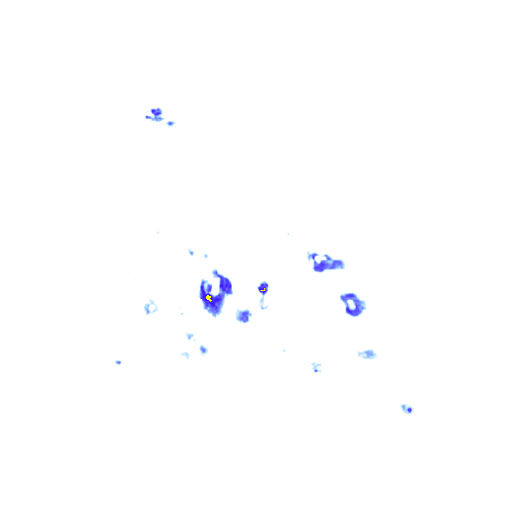 Image Layer