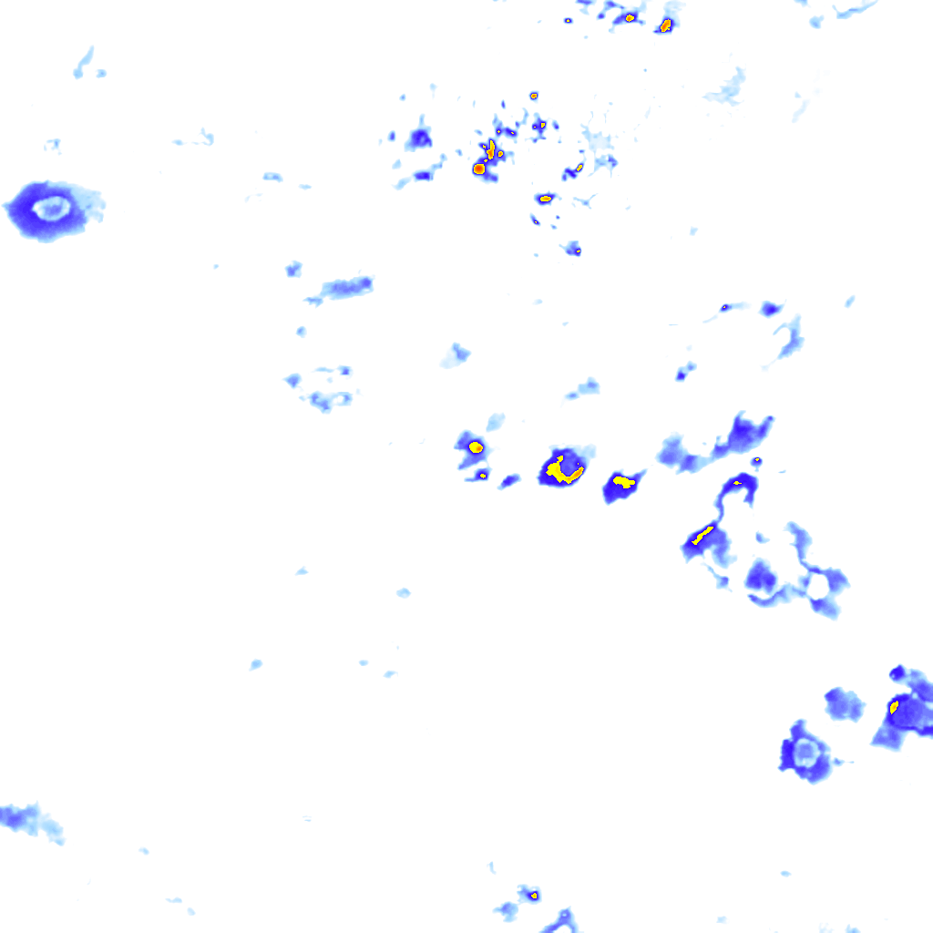 rainLayer