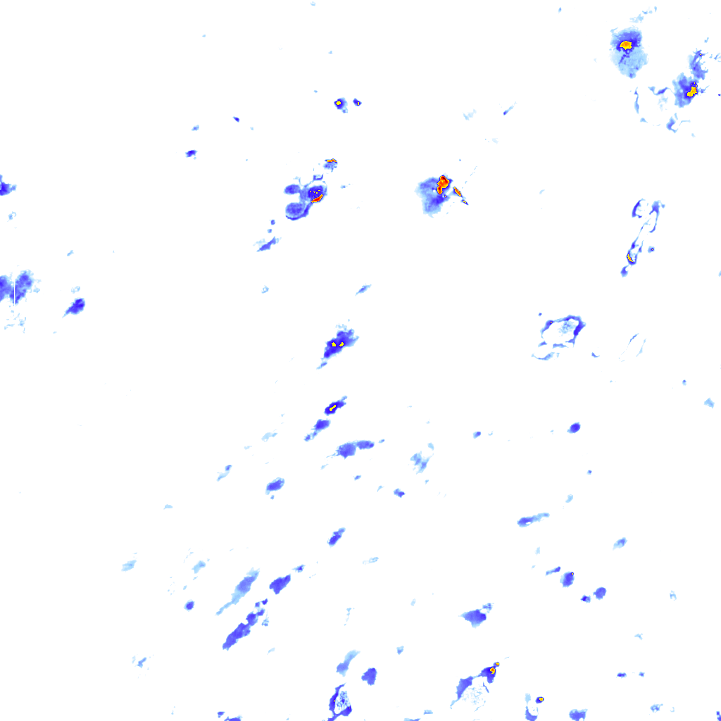 rainLayer