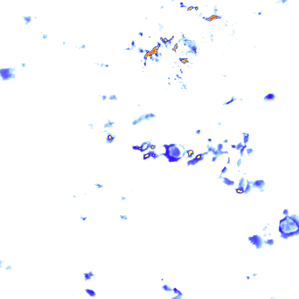 rainLayer