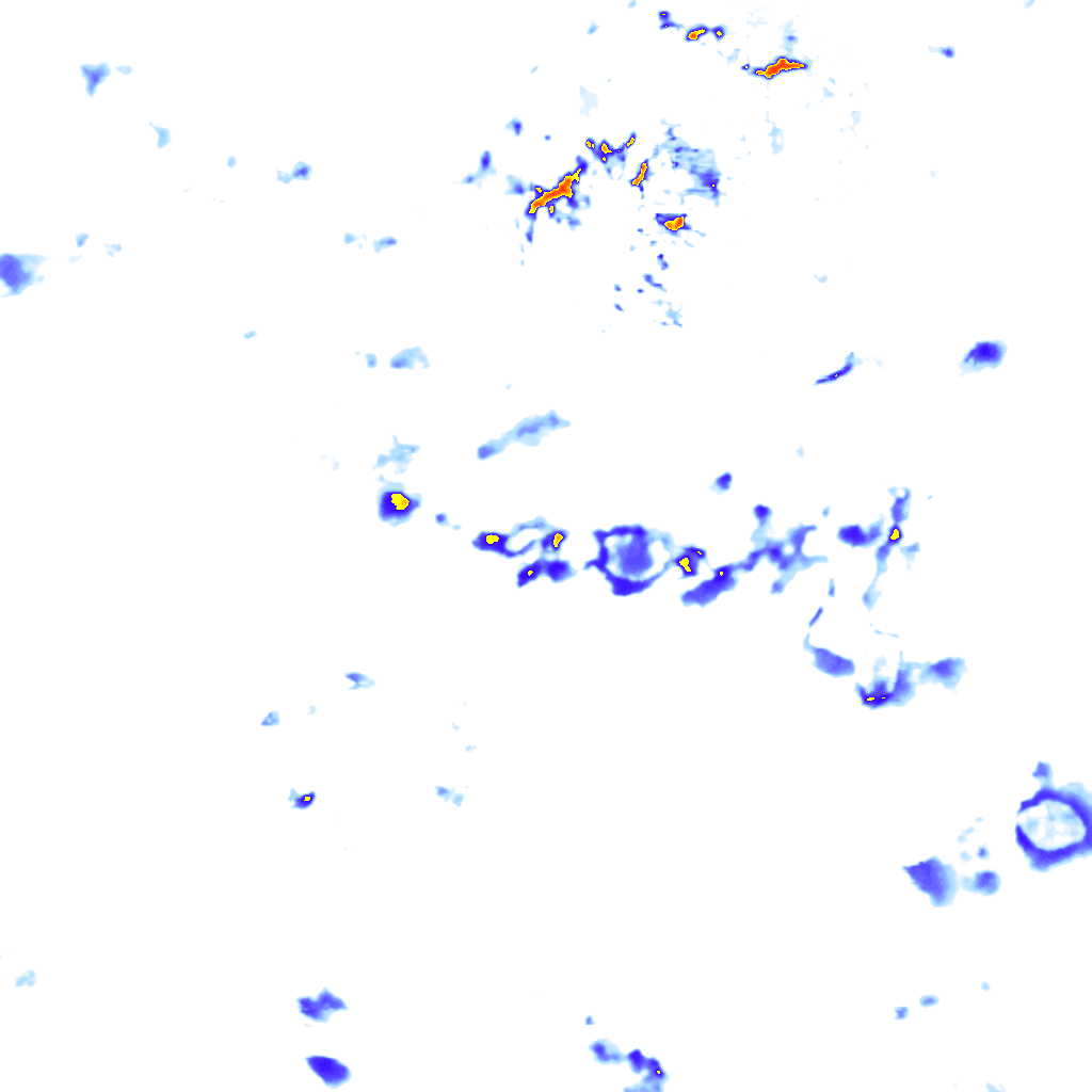 rainLayer