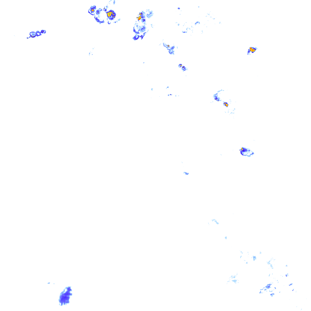 rainLayer