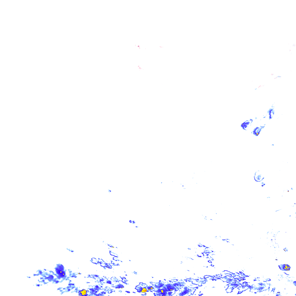 rainLayer