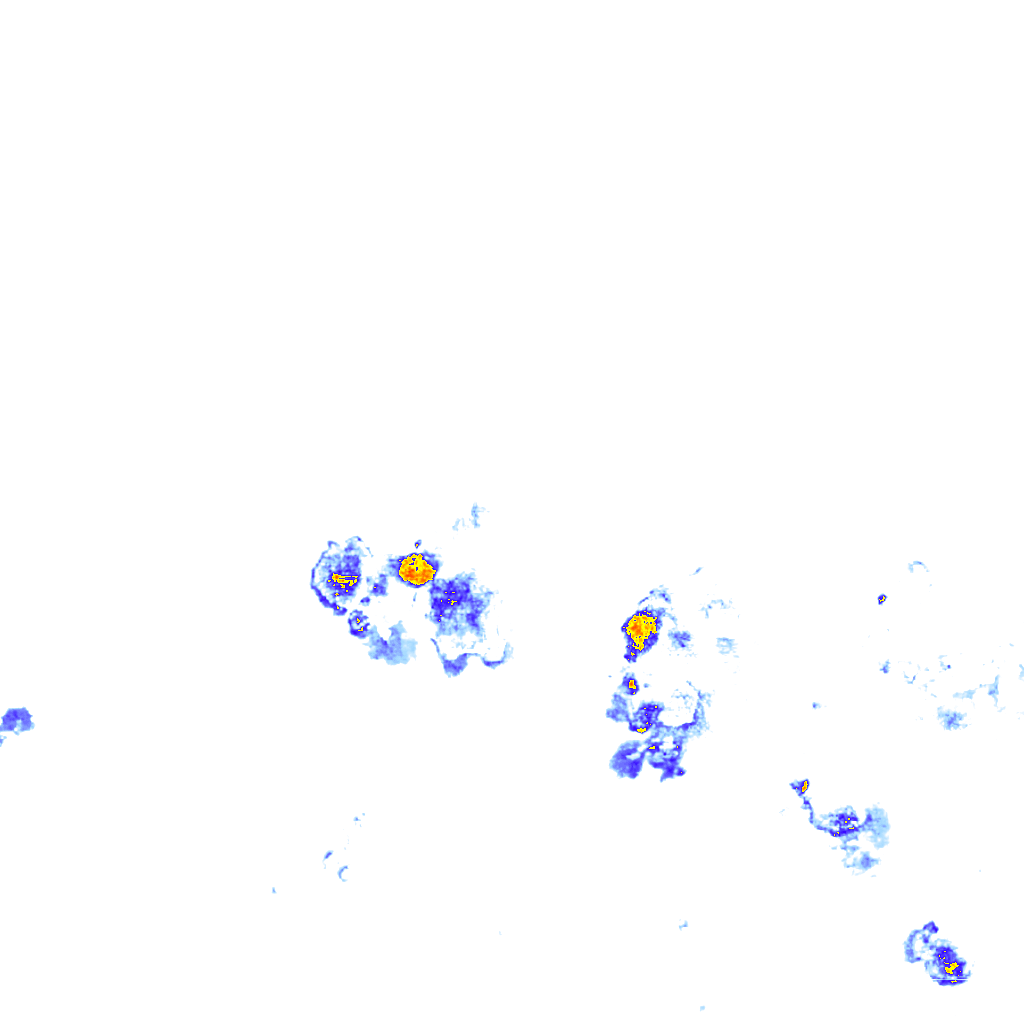 rainLayer