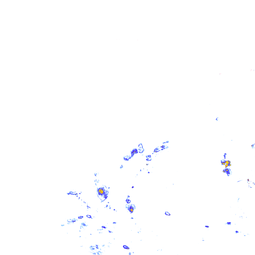 rainLayer