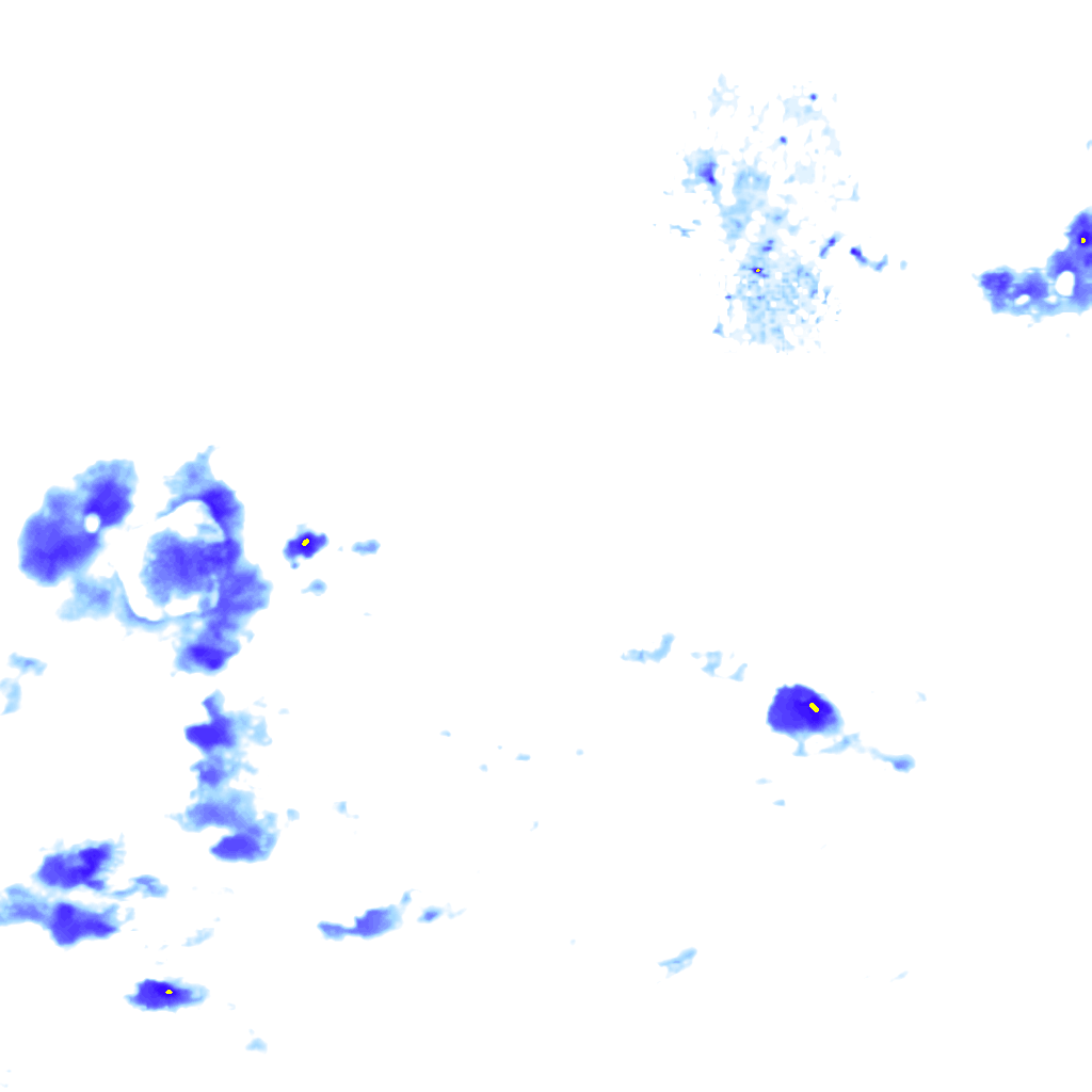 rainLayer