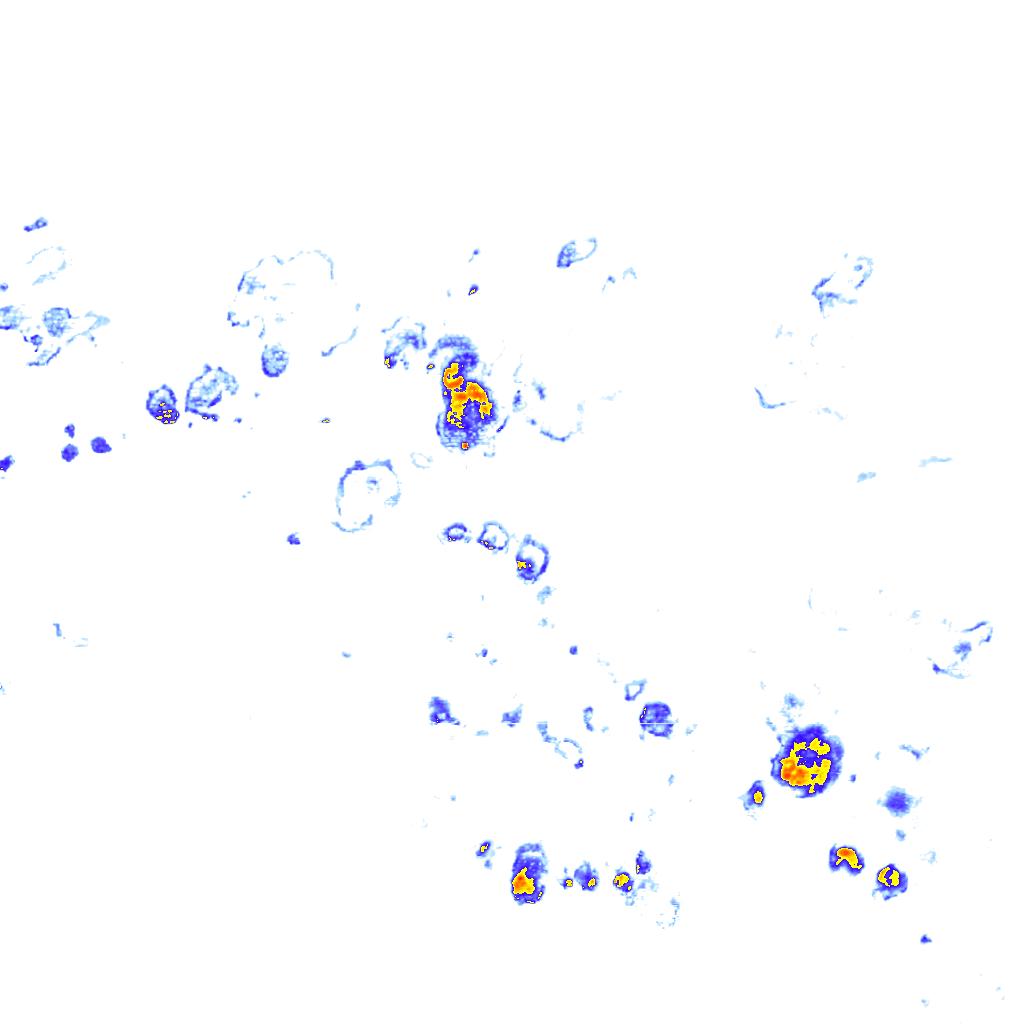 Image Layer