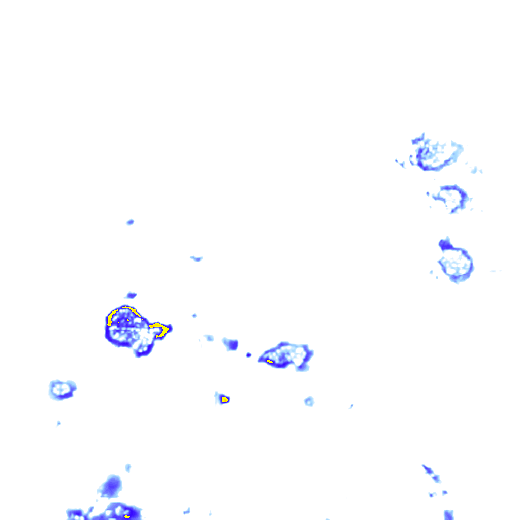 Image Layer