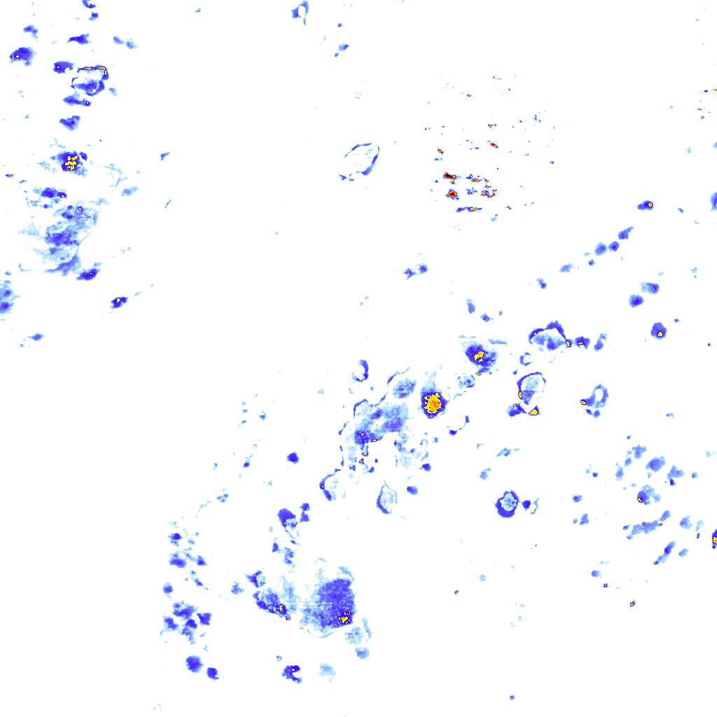 rainLayer