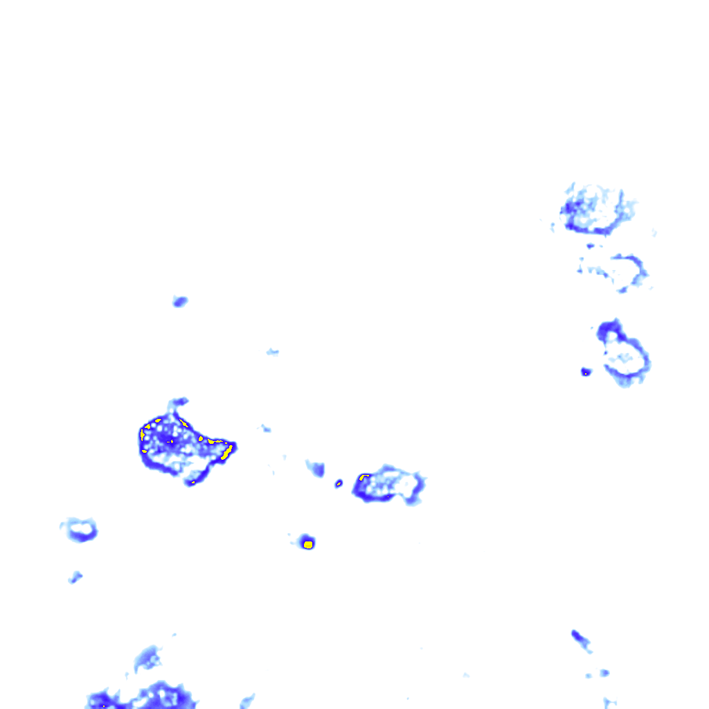 Image Layer