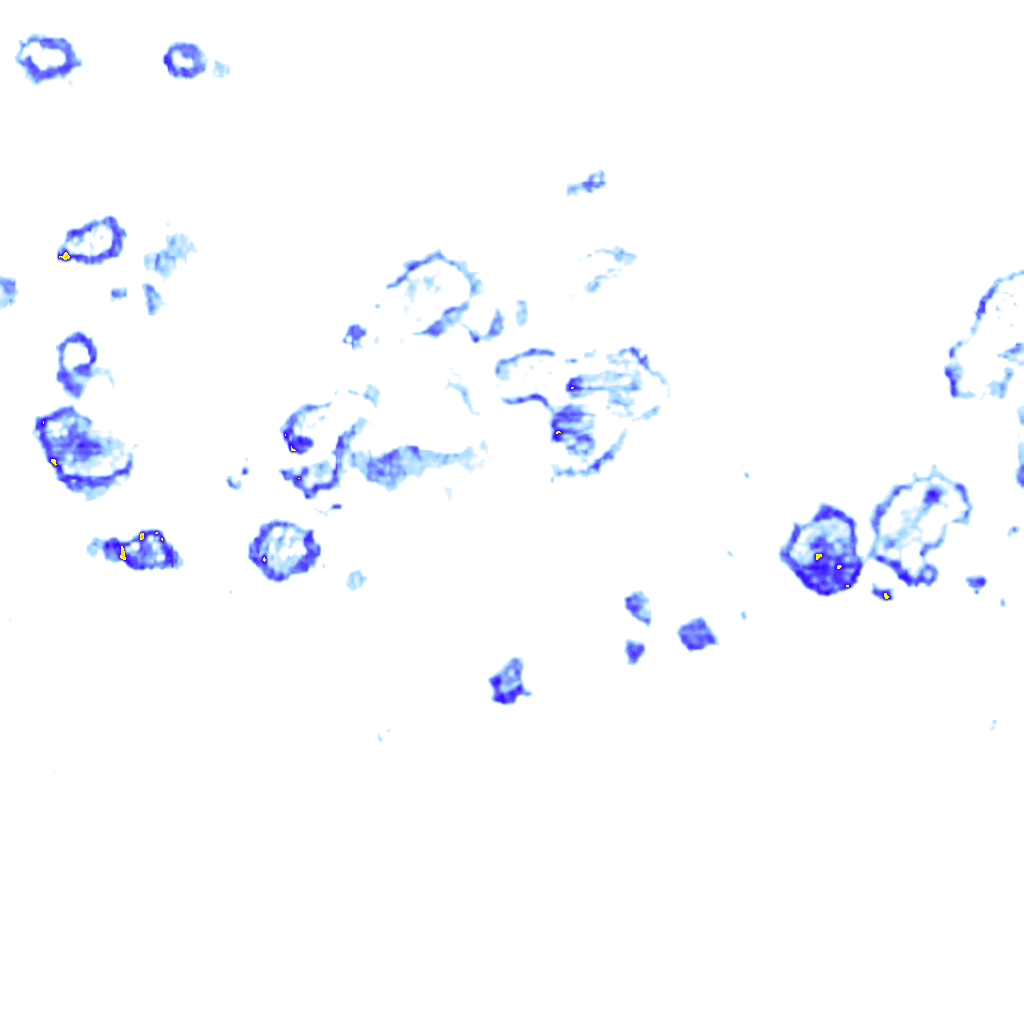 Image Layer