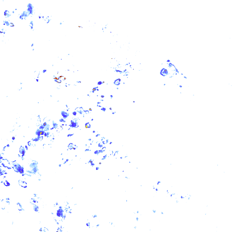 Image Layer