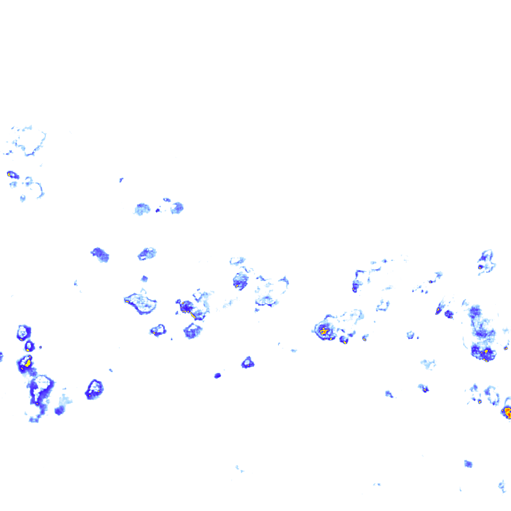 rainLayer