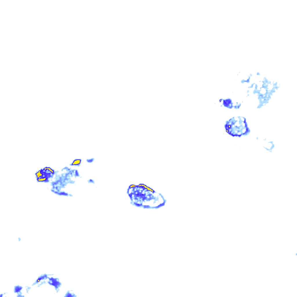 rainLayer
