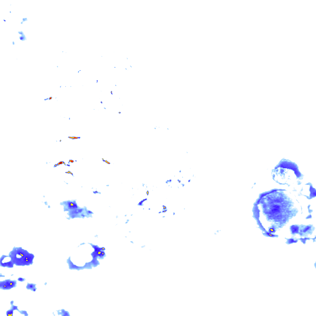 rainLayer