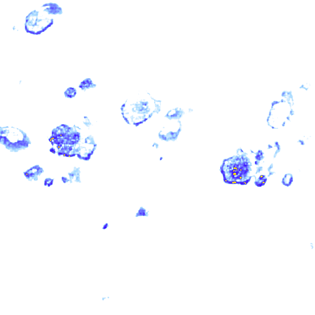 rainLayer