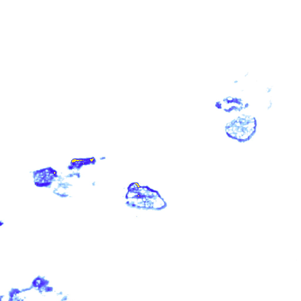 rainLayer