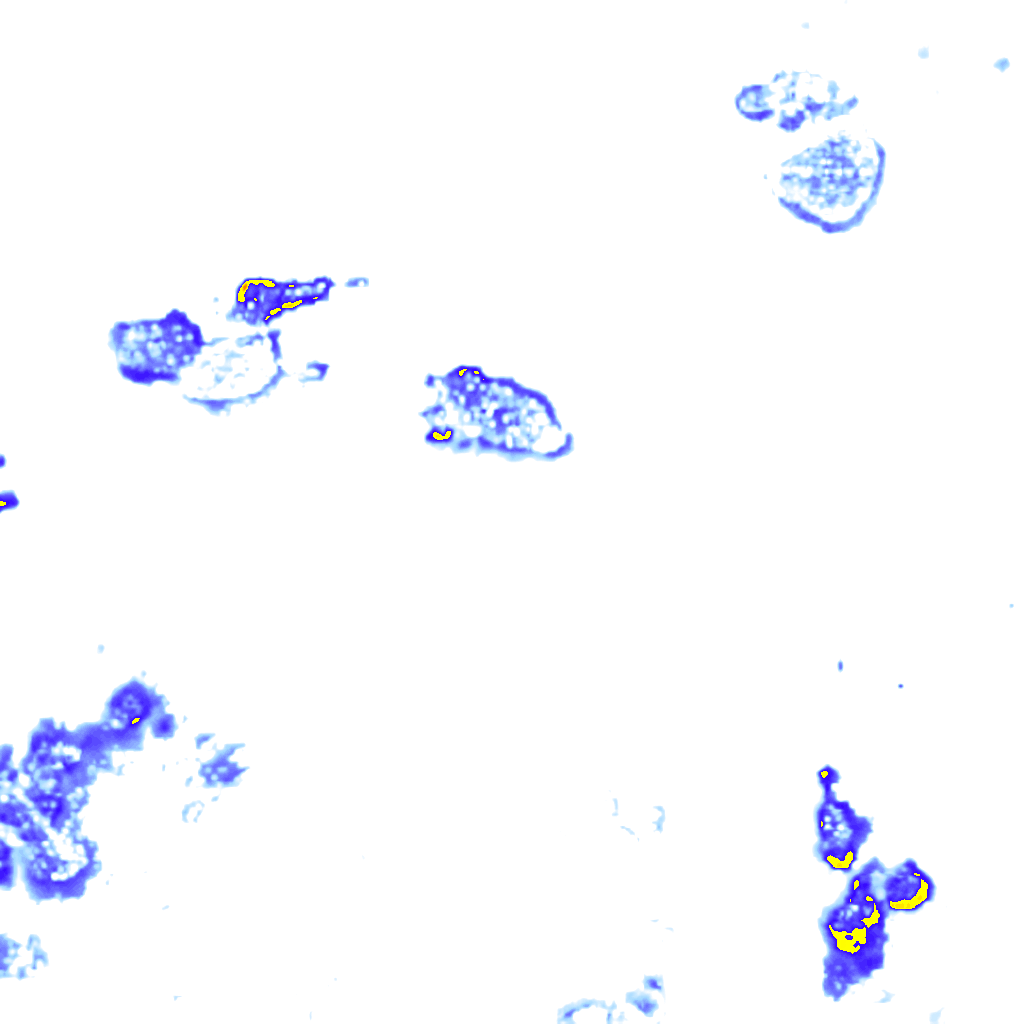 rainLayer