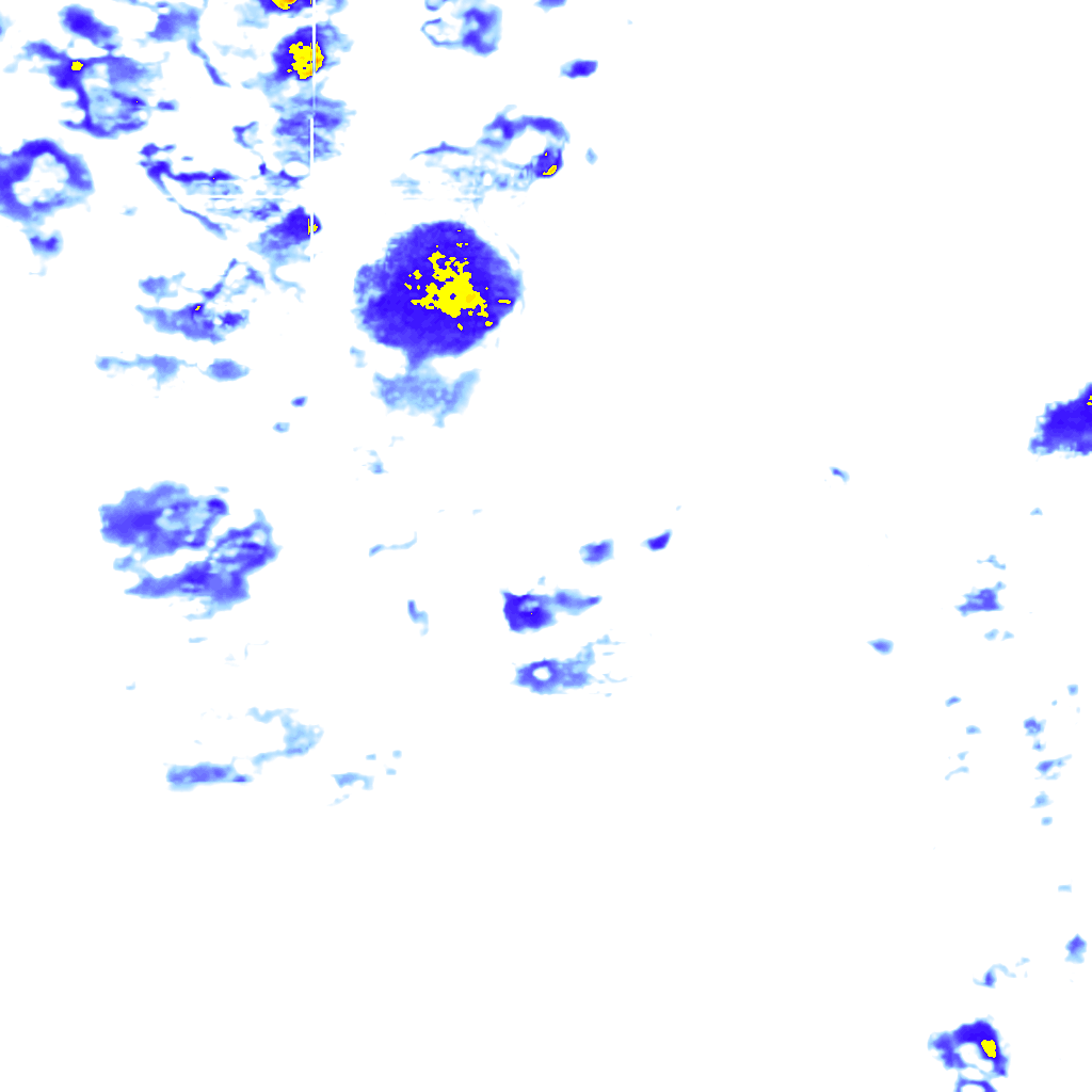 rainLayer