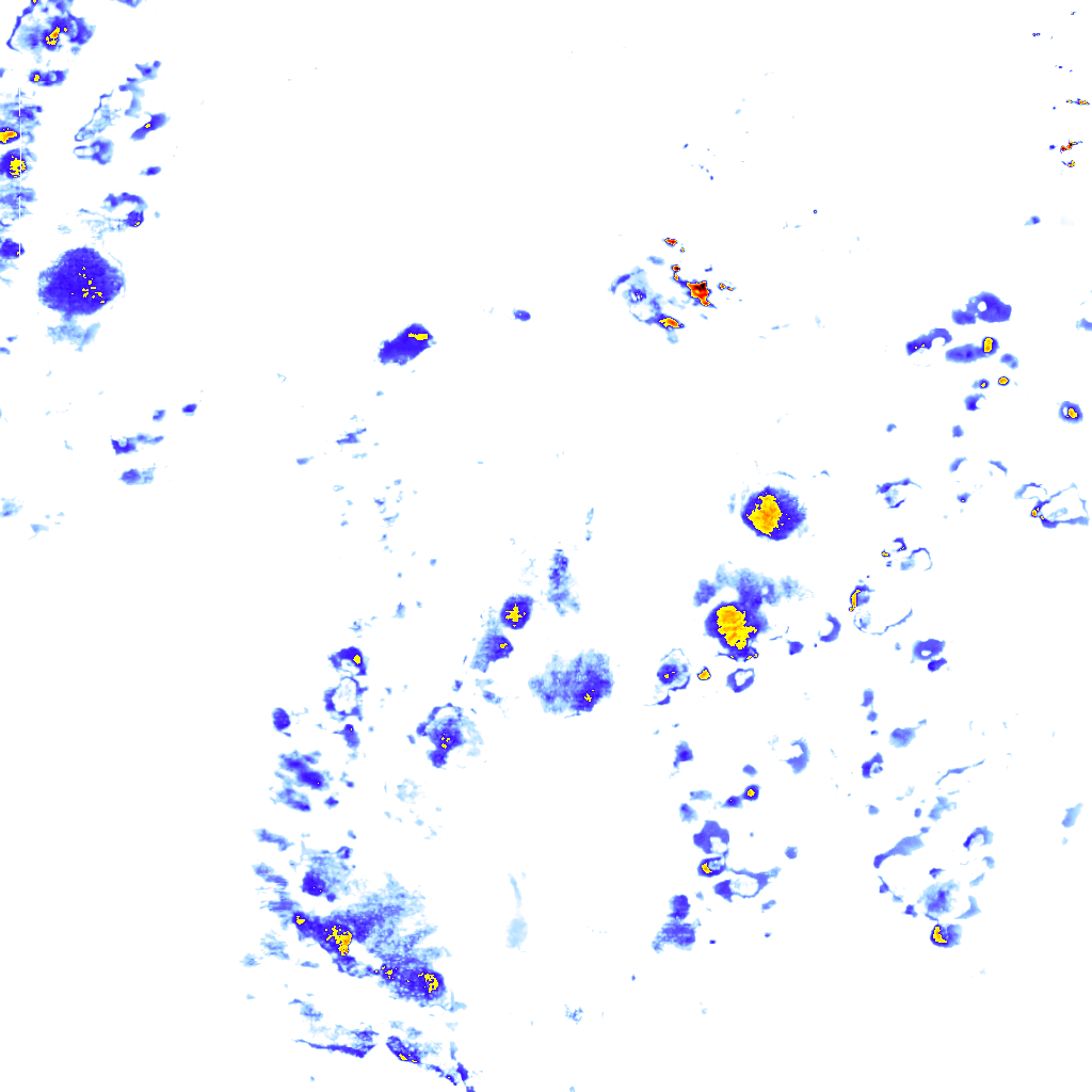 rainLayer