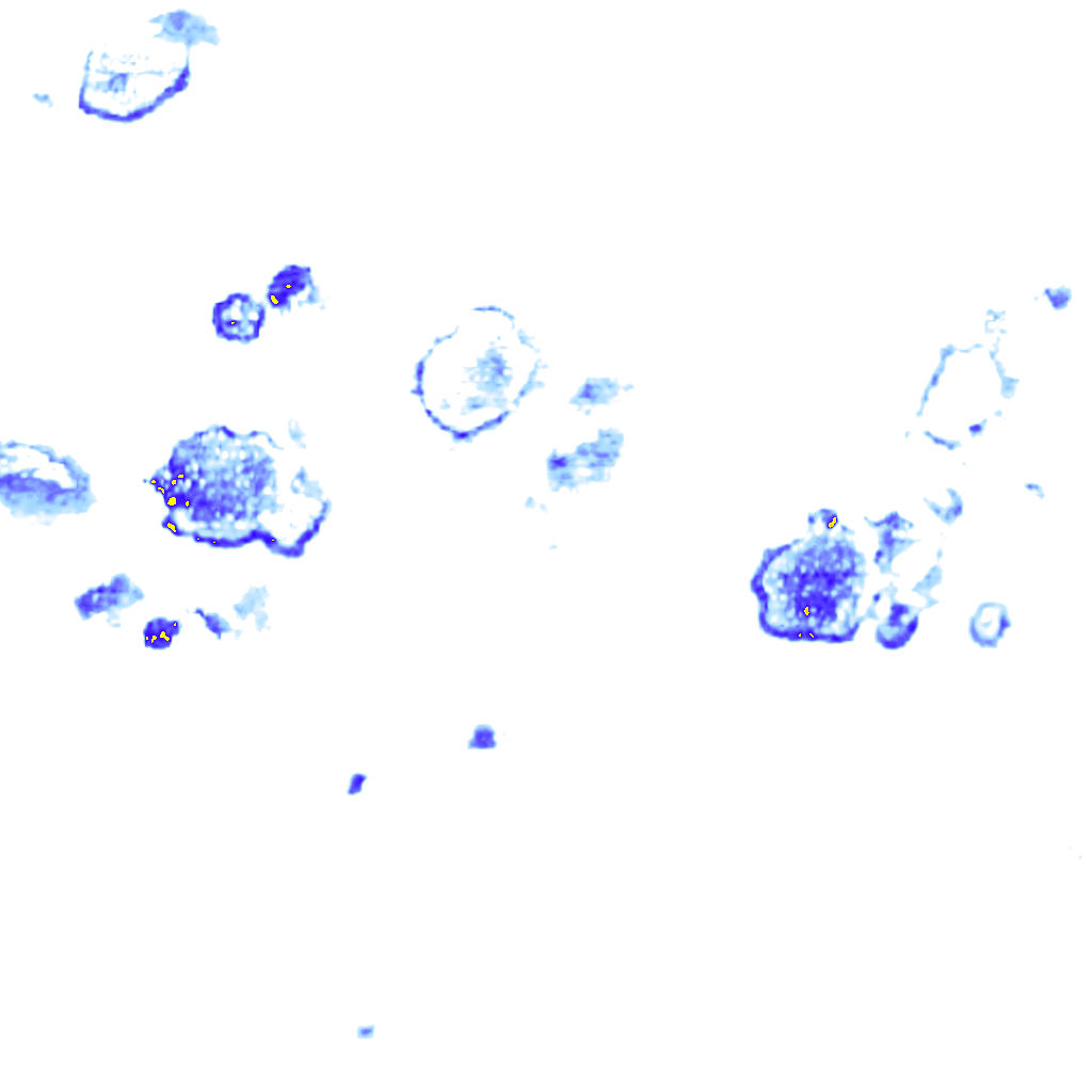 Image Layer