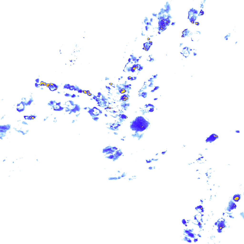 Image Layer